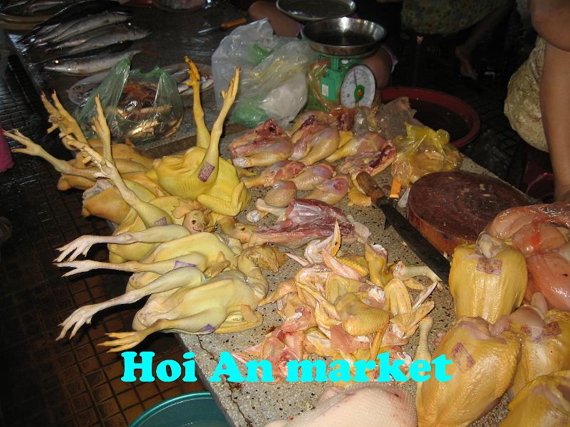 102102 Hoi Anh.JPG